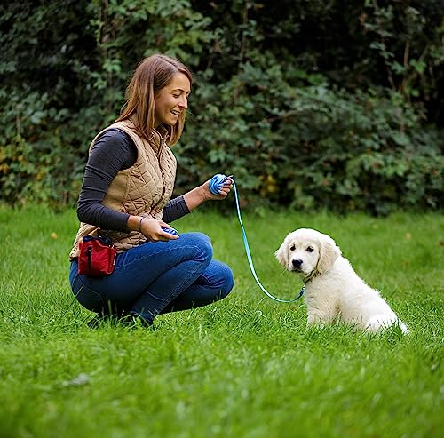 COMPANY OF ANIMALS Multi-Clicker, Hundezubehör, Lautstärkeregler mit 3 Stufen, verstellbare Handschlaufe, Hundeclicker, zum Hundetraining, auch für geräuschempfindliche Hunde und Welpen.