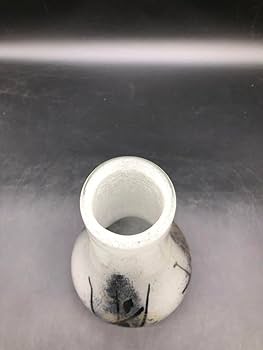 IWATA ガラス花瓶 円筒形 ブラック装飾 IWATA ガラス花瓶 円筒形 ブラック装飾 Amazon.co.jp: Iwata