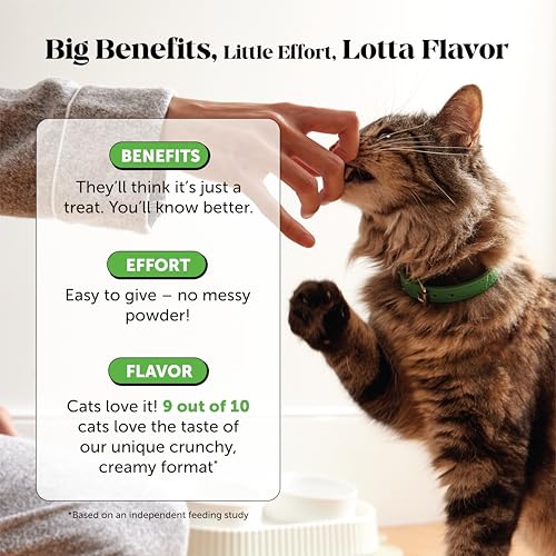 Cat Probiotics Gut + Immune Health Chews – Crunchy & Creamy Cat Treats for Digestive Health, Gut Flora & Constipation Relief – Supports Immunity, Regularity, & Healthy Digestion, 30-Day Supply Chicken - Image 5