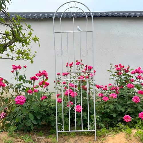 Erweiterbares Metall-Pflanzen-Rankgitter für Topfpflanzen und Gemüse, 120–200 cm, verstellbarer Sichtschutzzaun, weiß, Gartenstütze für Tomaten, Gurken und Kletterpflanzen, 50 x 150 cm