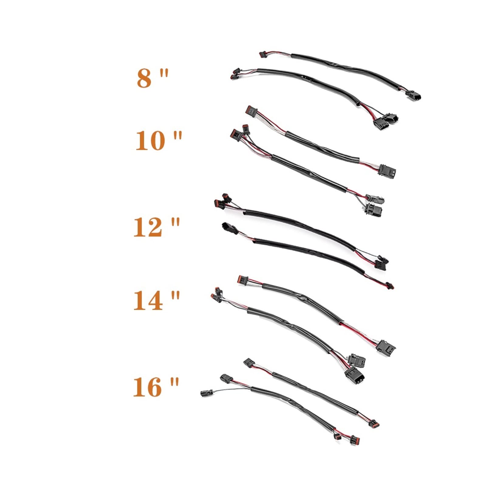 Amazon.co.jp: CAN バス 8