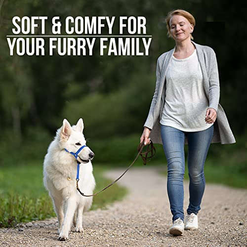 Dog Head Collar Prevents Pulling - Soft & Comfortable. Ultra-Secure Seatbelt Material. Comfortable Padded Harness Stops Choking. Easy To Steer. Makes Walking Safe & Fun (Blue, 2) #TOP1