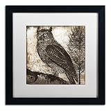 Trademark Fine Art ALI4215-B1616MF 'Owl 2' Framed Original Artwork, 16x16'