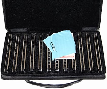 24 Hole T2403 Germany Imported Gong Spring Polyphonic Harmonica 12 Tone Full Tone Silver Suit Adult Professional Playing harmonica set