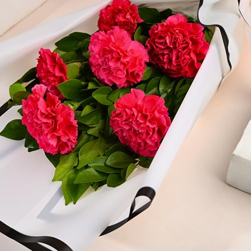 Image of FlowerAura Premium Fresh Live Flower Bouquet of 6 Pink Carnations In Designer Paper Gift For Birthday | Anniversary | Love | Home Decor | Fathers Day Gift For Dad (Same Day Delivery)
