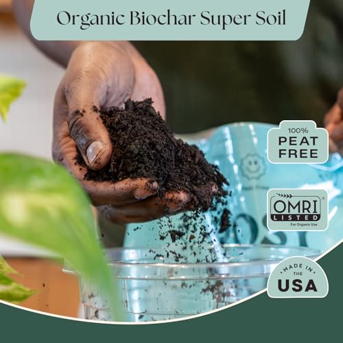 Image of Rosy Soil Plant Parent Essentials Gift Box, Indoor Plant Kit | Gift for Plant Lovers, Gardening Tool Kit, with Peat-Free Houseplant Soil, Terracotta Watering Bulb, Soil Scoop, Plant Brush