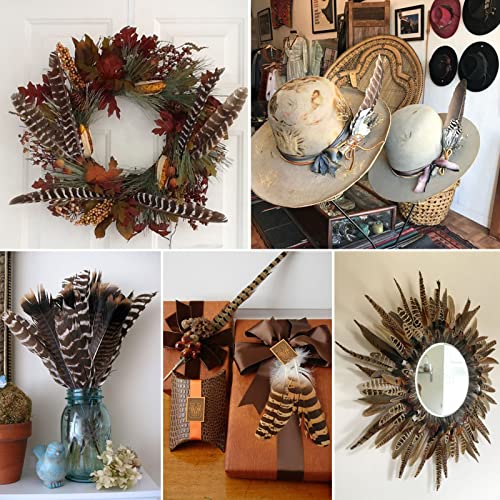 Outuxed 15Pcs Natural Turkey Feathers For Crafts, 10-12 Inches Large Feathers For Hat Floral Diy Home Wedding Party Decoration Collection #TOP5