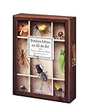  Coffret Petites bêtes en fil de fer