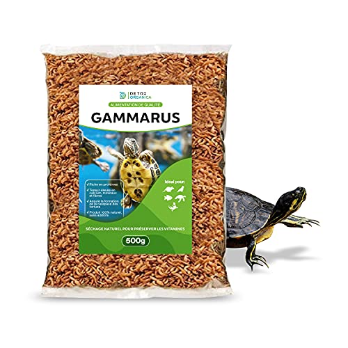 Nourriture Tortue Aquatique [ Gammarus 500gr / 4L - Alimentation 100% Naturelle ] Crevette pour Tortue d’Eau – Riche en Calcium, sels minéraux et Fibres – Un Vrai régal pour Vos Tortues ! (4l)