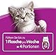 Whiskas Katzenmilch für Kätzchen ab 6 Wochen, 15 Flaschen, 15x200ml – Leckerer Snack für eine glückliche Katze, laktosereduziert und leicht verdaulich,3 l (1er Pack)