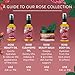Badger Rose Face Oil, 100% Organic Face Moisturizer, Nourishing & Soothing Organic Jojoba Oil & Rose Oil, Vegan Antioxidant Rich Moisturizing Facial Oil, 1 fl oz Glass Bottle