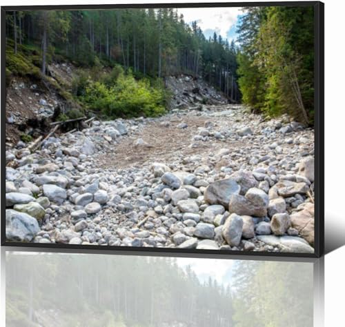 Dry stony riverbed coniferous forest Tatra Mountains Poland Black Framed Canvas Wall Art for Living Room Bedroom Kitchen Bathroom Prints Pictures Wall Decor Posters Painting Artwork 12x16