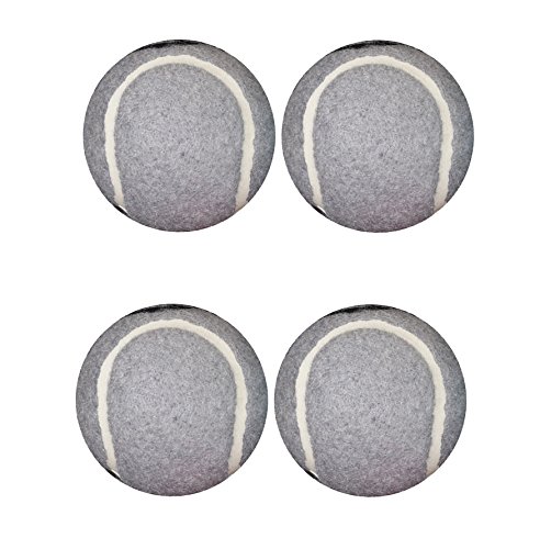 penco medical walkerballs 2 pack - the original walkerballs - 2 pairs of gray
