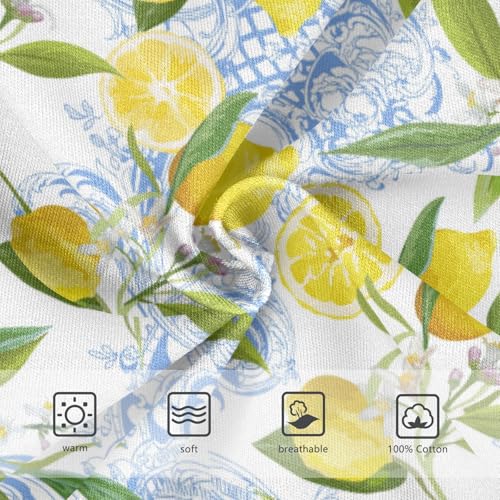 Boys' Exclusive Briefs Toddler Underwear 95% Combed Cotton Boxerbriefs 2T Lemon and Butterfly Pattern 623