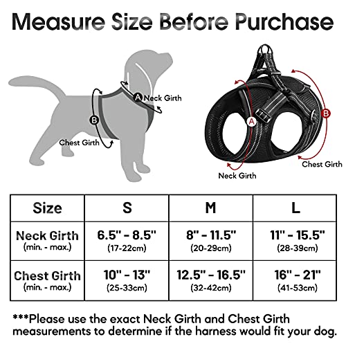rabbitgoo Small Dog Harness, Soft Mesh Dog Harness with 4 Adjustable Straps, No Pull Dog Vest Harness with Double Clips… - Image 2