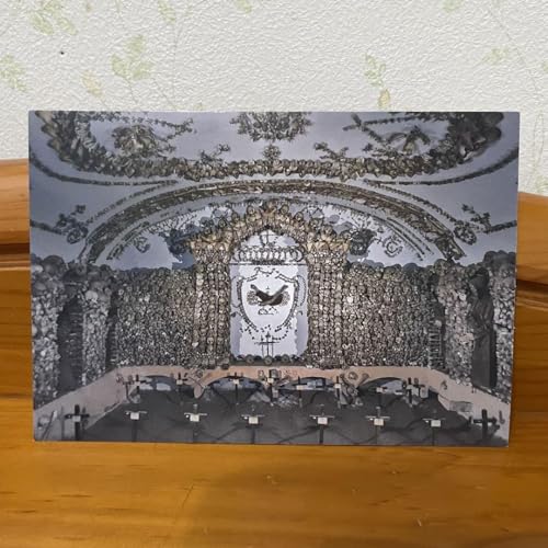 C^A [} Jv`jh [ |XgJ[h