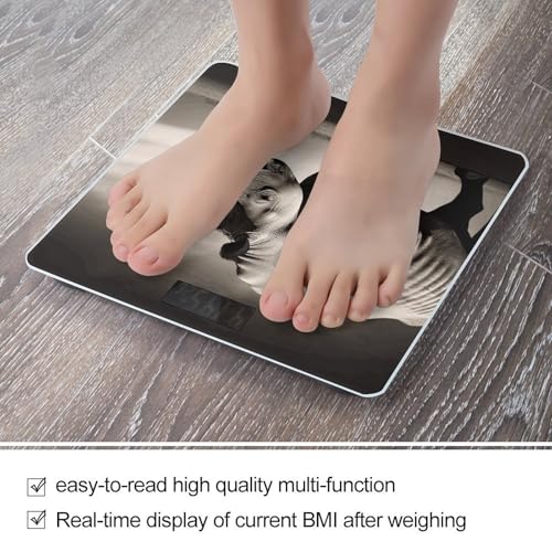 Báscula digital de baño con vidrio templado y pantalla LCD miniatura 5