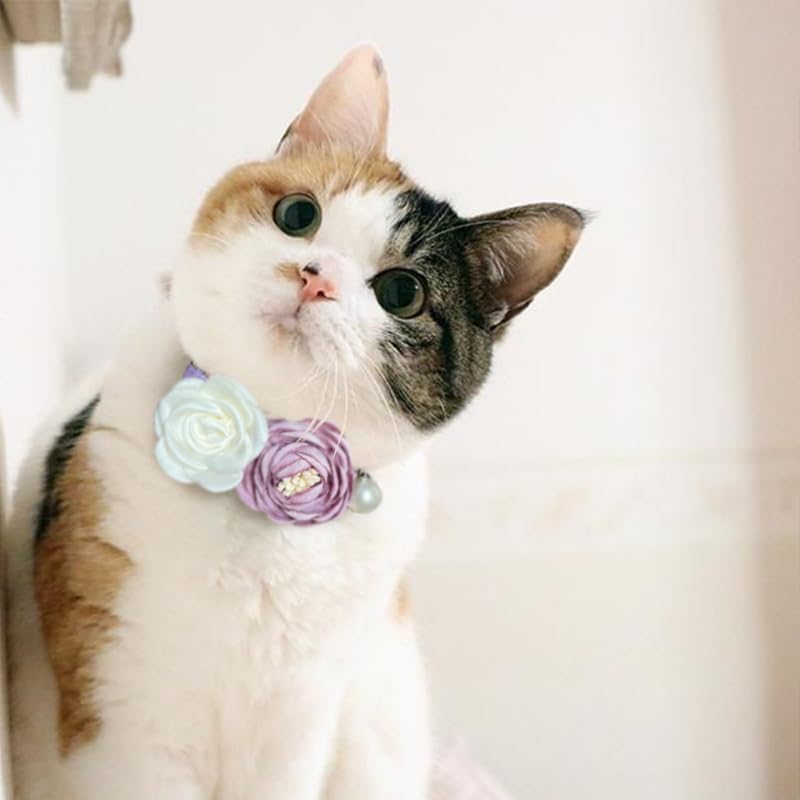 Miniatura 5 de Fupo Collares de gato morado para niñas, gatos, collar de gatito con flores de campana