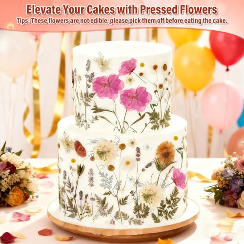 Image of Dried Pressed Flowers for Resin, Real Pressed Flowers Dry Leaves Bulk Natural Herbs Kit for Scrapbooking Art Crafts Epoxy Resin Jewelry Mold Candle Soap Making Nails Decor (White & Pink Floral)