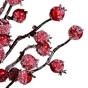 4packicyredberrypicksartificialchristmasberrysprayicedberrystemsredberrytwigbranchesforchristmasholidaywinterfloralarrangementcenterpieceseasonaldecoration188tall Urban Country Home Decor 4 pack icy red berry picks artificial christmas berry spray iced berry stems red berry twig branches for christmas holiday winter floral arrangement centerpiece seasonal decoration 188 tall urban country home decor