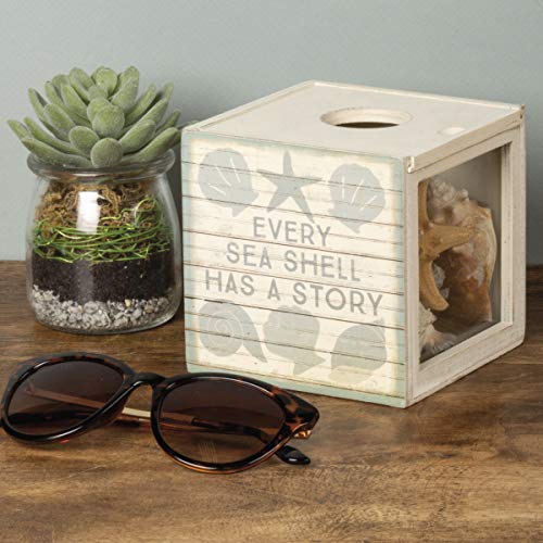 Primitives by Kathy Seashell Holder - Coastal Decor, Glass Display, Treasure Chest, Room and Bedroom Decor - Image 5