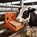 BLUEZURA Horse Salt Block Holder - Horse Mineral Block Holder, Mineral Dispenser, for Cow Deer Goat Sheep Livestock Licking Eating Backyard Farm (Orange)