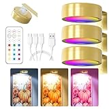 3 Stück RGB Bildbeleuchtung Kabellos, Aufladbar Bilderleuchte Kabellos mit Fernbedienung, Bild Licht mit 13 Lichtfarben, Dimmbar, Magnetisches LED Malerei Licht für Bilderrahmen, Wand, Regal, Bilder