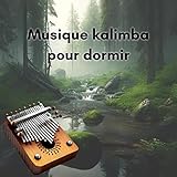 Photo Gallery méditation pan art