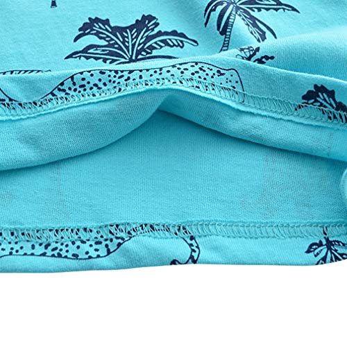 Image of Little Boys Shorts Set Toddler Boys 100% Cotton Summer Short Sleeve T-Shirts and Shorts Clothing Sets 2PCS