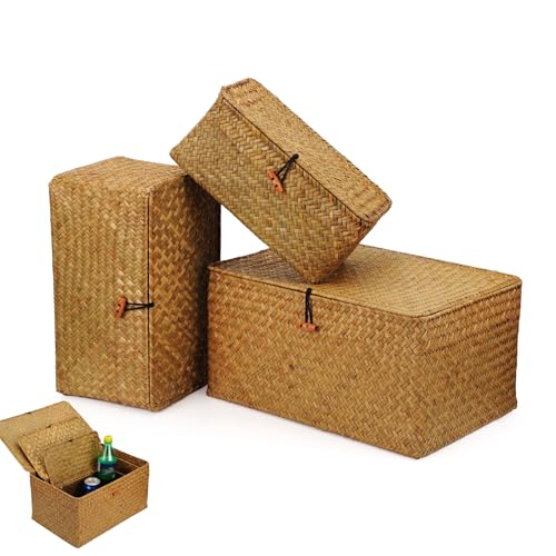Cesto Portaoggetti in Rattan Intrecciato, Set di 3 Cestini Portaoggetti in Vimini con Coperchio, Cesta in Vimini di Seagrass, per Cosmetici, Gioielli, Vestiti e Giocattoli (S, M, L, Arancione)