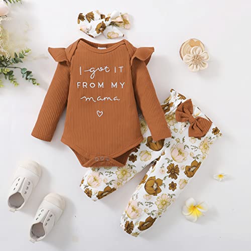 Image of DISAUR Baby Girls Clothes Newborn Infant Baby Girls Outfit Long Sleeve Ruffle Romper Floral Pants Headband Sets 0-18 Months