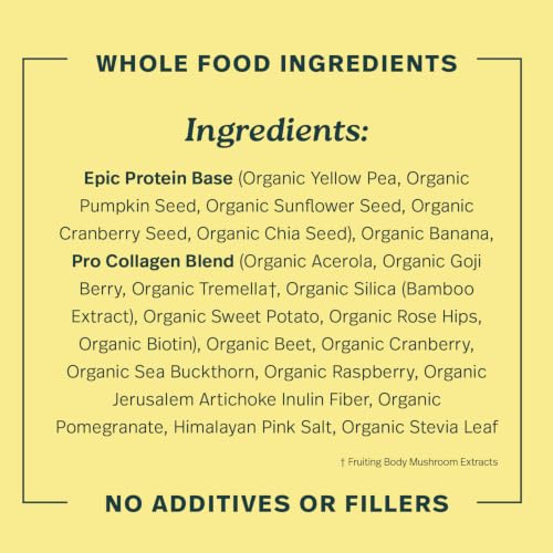 Image of Sprout Living Epic Protein, Plant Based Protein & Superfoods Powder, Pro Collagen, Berry | 15 Grams Organic Protein Powder, Vegan, Non Dairy, Non-GMO, Gluten Free, Low Sugar (0.7 Pound, 12 Servings)