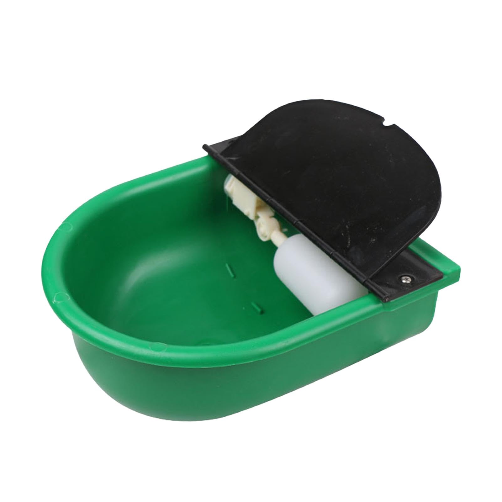 Alimentation en eau pour vaches chevaux et bétail pour éviter le gaspillage