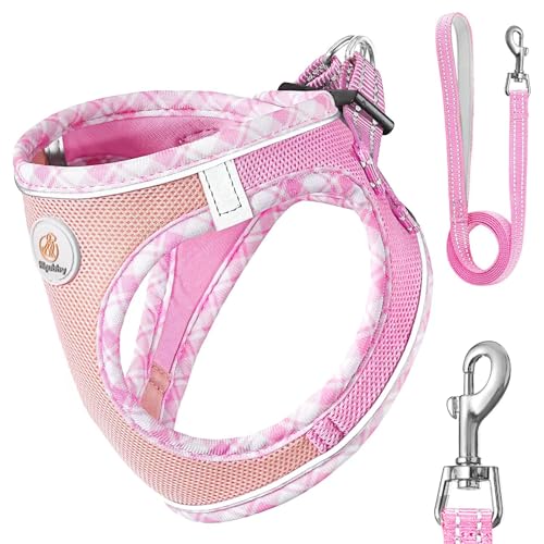 Dog Harness with Leash Step in Puppy Harnesss Soft Mesh Pet Small Harness with Reflective for Walking Running pinks Cucciolini Doodles Dog harness with leash step in puppy harnesss soft mesh pet small harness with reflective for walking running pinks cucciolini doodles