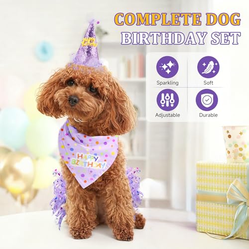 Set De Fiesta Para Perro Con Vestido, Sombrero Y Bandana Morado miniatura 4