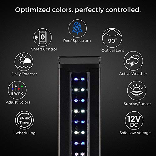CURRENT-USA-Orbit-Marine-IC-LED-Saltwater-Reef-Aquarium-Light-with-Wireless-Lighting-Wave-Pump-Control-Loop-App-Bluetooth