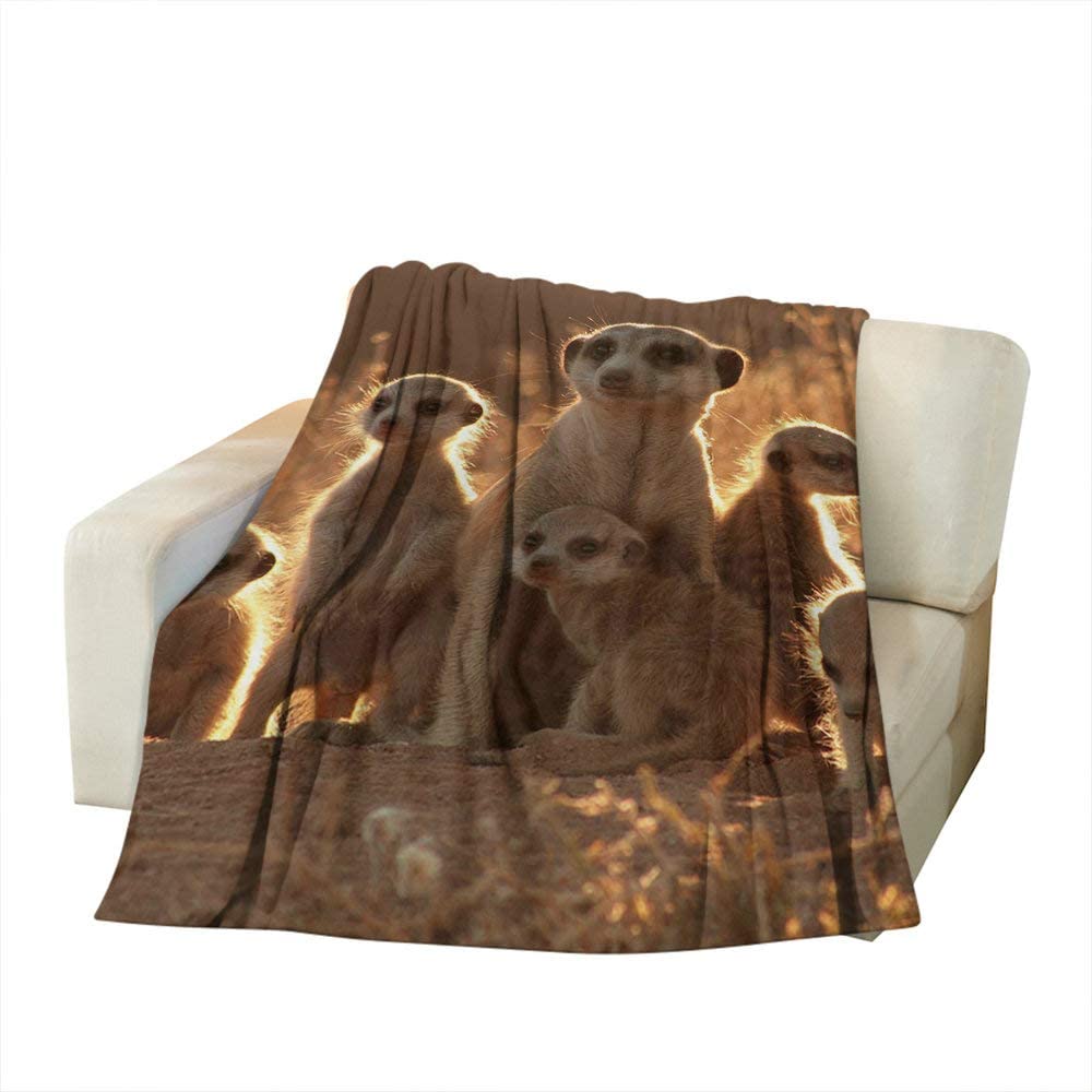Hongfacai Flannel Throw Blanket 60"X50" Soft Fluffy Fleece Blanket Throw Cute Meerkat Warm And Cozy Cover Blanket Versatile Flannel Blanket Throw For Bed Couch Sofa Office Chairs, Bedroom 130X150cm
