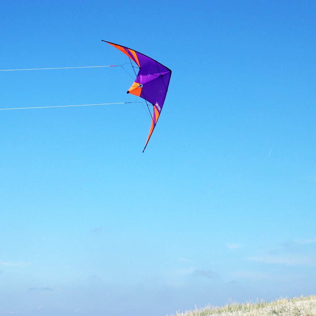 Turmer Skydart Violet