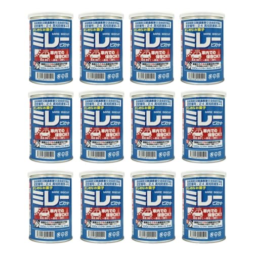 保存用 ミレービスケット 100g 車載用 【12個】 まじめなお菓子 ノンフライ 保存食 非常食 災害用 防災用