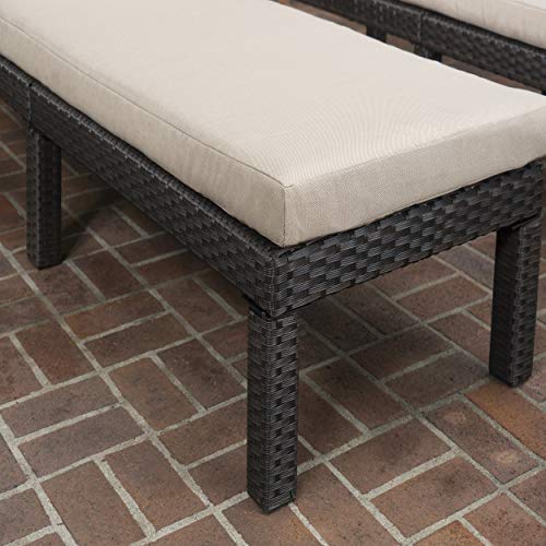 Christopher Knight Home Puerta Outdoor Wicker Chaise Lounges With Water Resistant Cushion, 2-Pcs Set, Dark Brown / Beige #TOP7