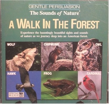 Walk in the Forest [Audio CD]