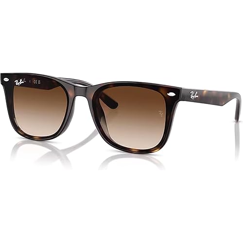 Ray-Ban RB4420 Square Sunglasses for Men for Women + BUNDLE With Designer iWear Complimentary Eyewear Kit