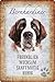 Buddel-Bini Versand - Placa metálica (20 x 30 cm), diseño de perro Bernardo