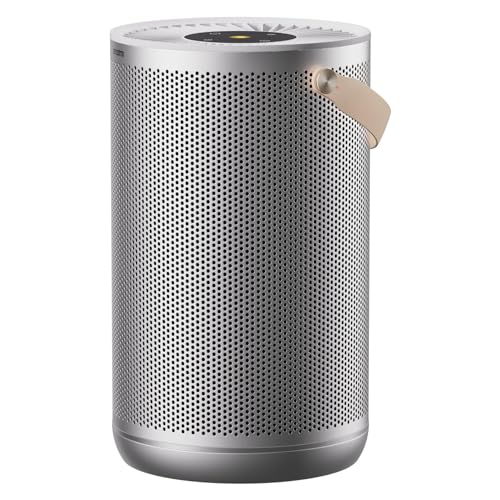 Smartmi Luftreiniger P2