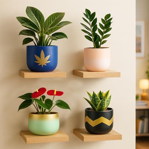 Image of Urban Plant Terracotta Pot - Trendy Planter for Modern Home & Garden Spaces (Terracotta Gems - Set of 4)