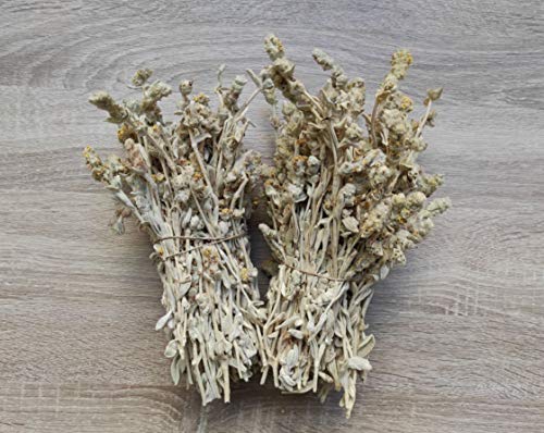 Té Salvaje Griego De Montaña Malotira Sideritis Syriaca 220g - 5KG Cosecha Junio 2022 (5 KG)