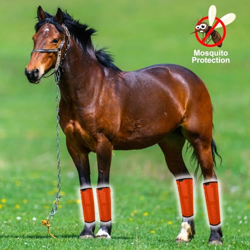 Image of FOXLVDA Horse Fly Boots (Set of 4) - Comfortable Horse Wraps | with Mesh & Metal Support Bars to Reduce Stomping and Leg Fatigue, for Ponies under 14.2hh, Medium