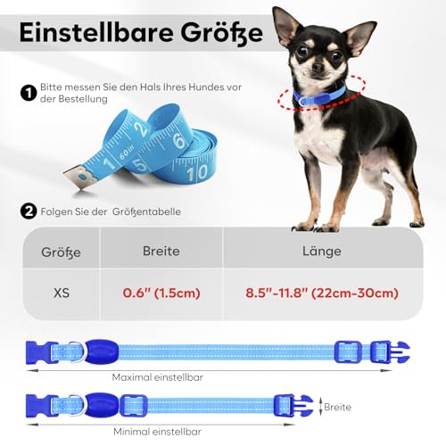 Kpuplol Leuchthalsband Hund, Hundehalsband Leuchtend, Wiederaufladbar Hundehalsband Leuchtend LED Halsband für Hunde Einstellbare Größe, 2 Beleuchtungsmodi für Kleine Mittlere Große Hunde