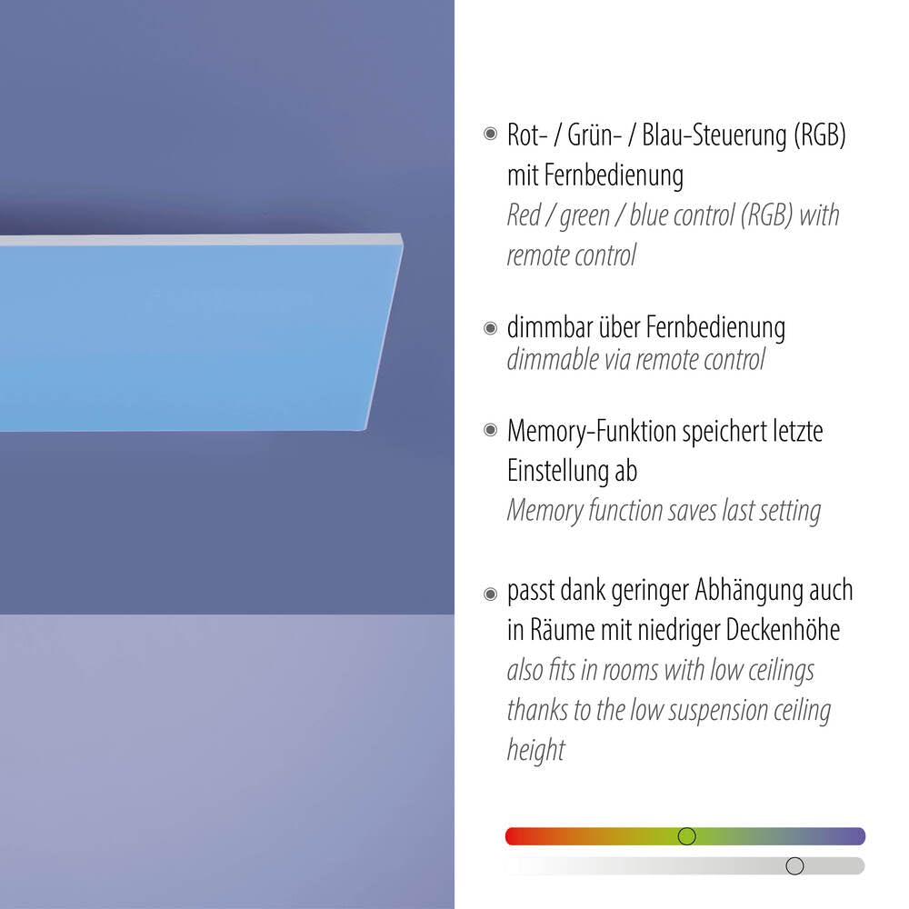 Paul Neuhaus LED Deckenleuchte Panel, weiß, 60x30cm Rahmenlos | Farbsteuerung RGB / warmweiß, Dimmfunktion