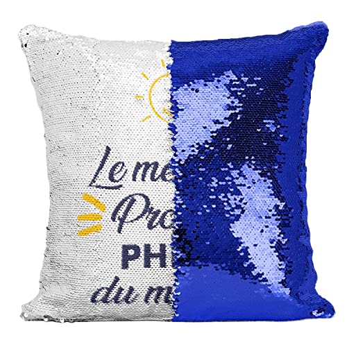 Coussin de Philo à Paillettes déco de bureau enseignant lycée